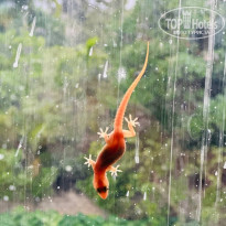 фото из отзыва ID 2738550