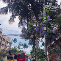 фото из отзыва ID 2738550