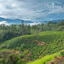 фото из отзыва ID 2738550