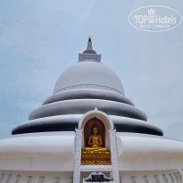 фото из отзыва ID 2738550