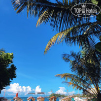 фото из отзыва ID 2738550