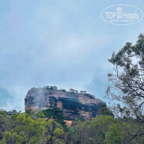 фото из отзыва ID 2738550