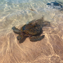 фото из отзыва ID 2738550