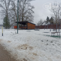 фото из отзыва ID 2738553