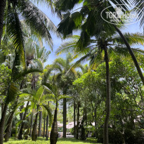 фото из отзыва ID 2738555