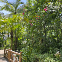 фото из отзыва ID 2738555