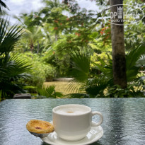 фото из отзыва ID 2738555