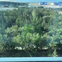 фото из отзыва ID 2738556