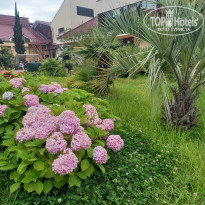 фото из отзыва ID 2738567