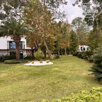 фото из отзыва ID 2738021