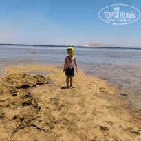 фото из отзыва ID 2738565