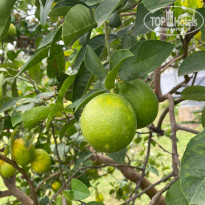 фото из отзыва ID 2738570