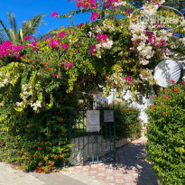 фото из отзыва ID 2738570