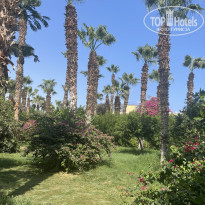 фото из отзыва ID 2738586