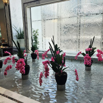 фото из отзыва ID 2738590