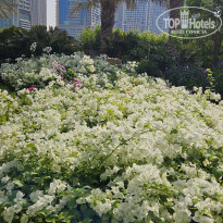 фото из отзыва ID 2738590