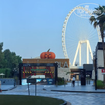 фото из отзыва ID 2738590