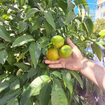 фото из отзыва ID 2738594