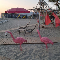 фото из отзыва ID 2738594