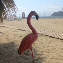 фото из отзыва ID 2738594