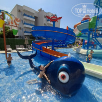 фото из отзыва ID 2738594