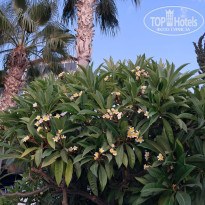 фото из отзыва ID 2738594