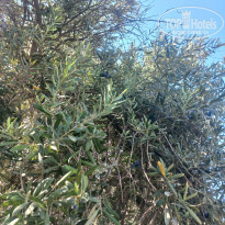 фото из отзыва ID 2738594