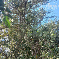 фото из отзыва ID 2738594