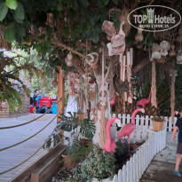 фото из отзыва ID 2738594