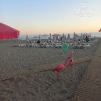 фото из отзыва ID 2738594