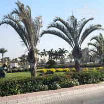 фото из отзыва ID 2738605