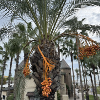 фото из отзыва ID 2738612