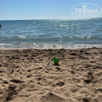 фото из отзыва ID 2738612