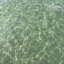 фото из отзыва ID 2738612