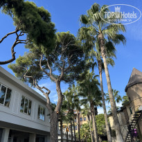 фото из отзыва ID 2738612