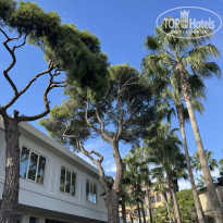 фото из отзыва ID 2738612