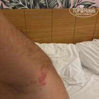 фото из отзыва ID 2738619