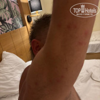 фото из отзыва ID 2738619