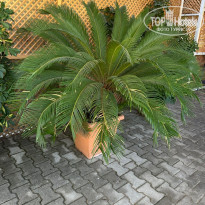 фото из отзыва ID 2738621