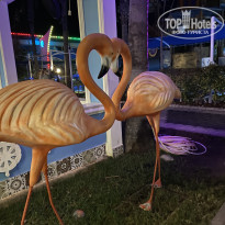 фото из отзыва ID 2738621