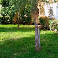 фото из отзыва ID 2738610