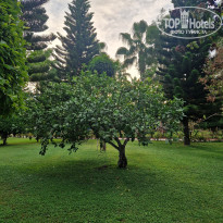 фото из отзыва ID 2738623