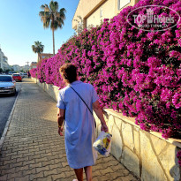 фото из отзыва ID 2738632