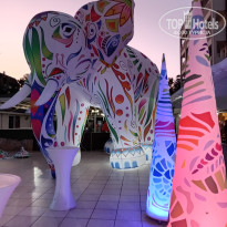 фото из отзыва ID 2738626