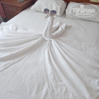 фото из отзыва ID 2738626