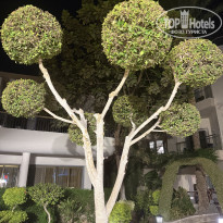 фото из отзыва ID 2738635