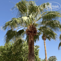 фото из отзыва ID 2738635