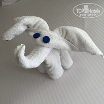 фото из отзыва ID 2738635