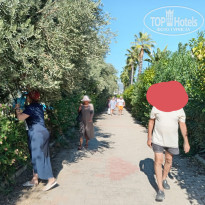 фото из отзыва ID 2738626