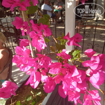 фото из отзыва ID 2738626